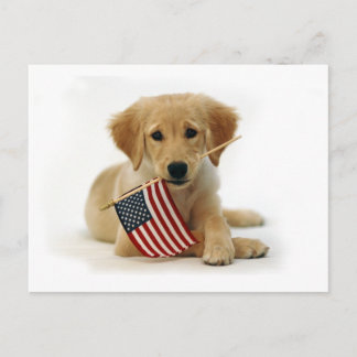 Postal Cachorro y bandera de Golden Retriever