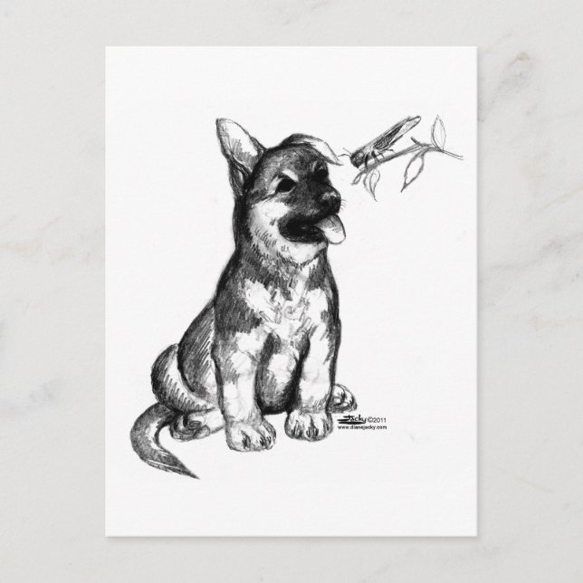 Postal Cachorro y saltamontes (Anverso)