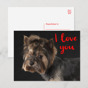 Postal Cachorro yorkshire Terrier Adorable Amor