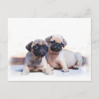 Postal Cachorros