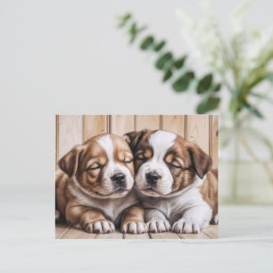 Postal Cachorros