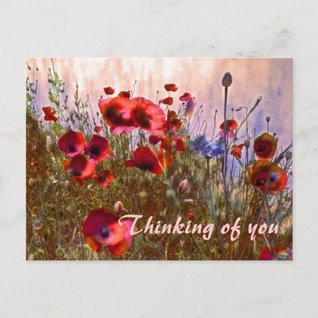 Postal ¡Cachorros artísticos! (Anverso)