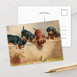 Postal Cachorros curiosos de dachshund   Carl Reichert