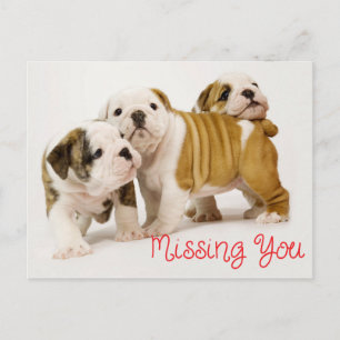 Postal Cachorros de Bulldog Inglés que te hacen falta