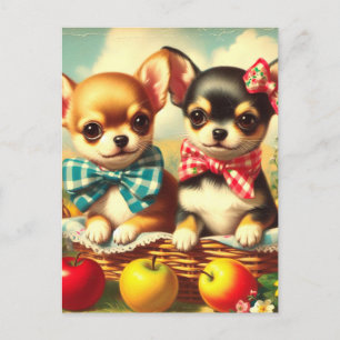Postal Cachorros de Chihuahua
