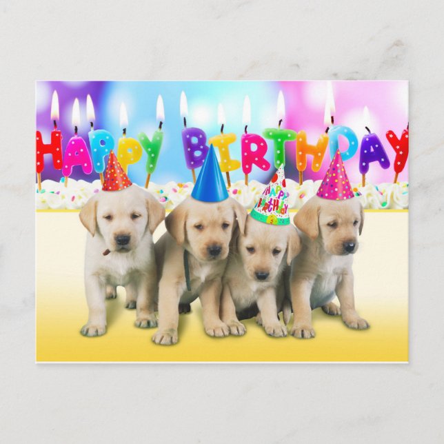 Postal Cachorros de cumpleaños de Cucuta Happy (Anverso)