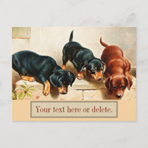 Postal Cachorros de Dachshund Divertidos Lindos Antiguos 