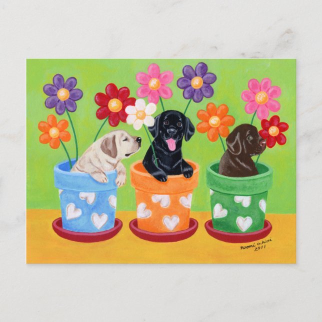 Postal Cachorros de Flor Pot Labrador (Anverso)