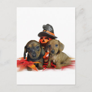 Postal Cachorros de Halloween Dachshund