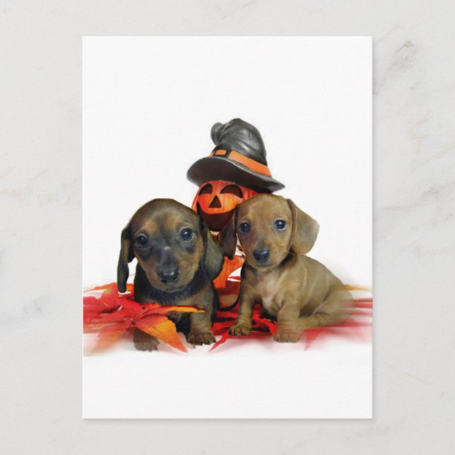 Postal Cachorros de Halloween Dachshund (Anverso)
