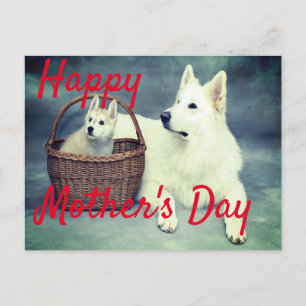 Postal Cachorros de la madre