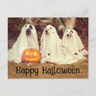 Postal Cachorros Fantasmas Feliz Halloween