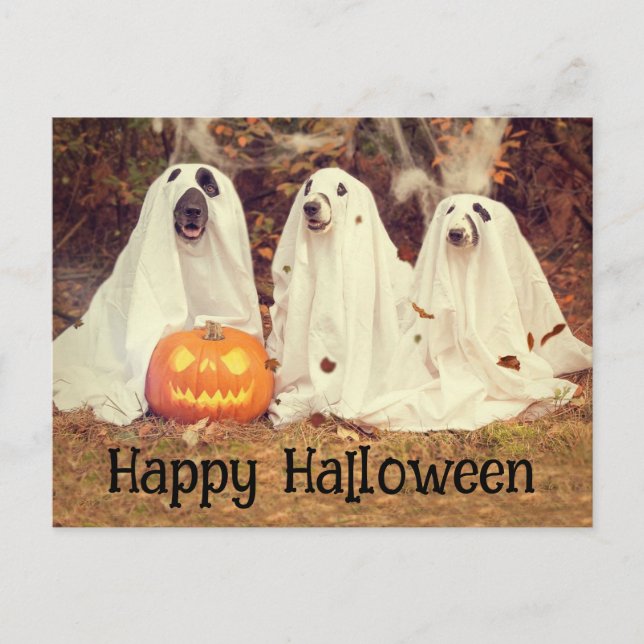 Postal Cachorros Fantasmas Feliz Halloween (Anverso)
