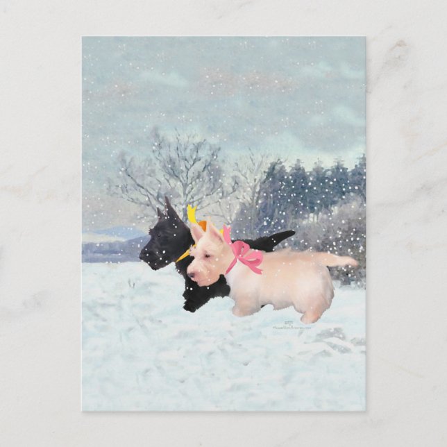 Postal Cachorros Scottie (Anverso)