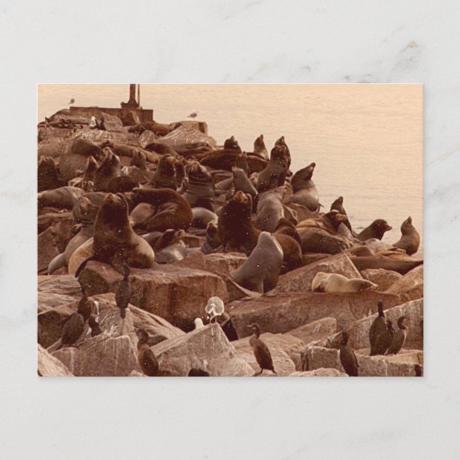 Postal cacofanía del mar (Anverso)