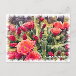 Postal Cactus