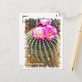 Postal Cactus ポストカード