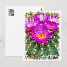 Postal Cactus ポストカード