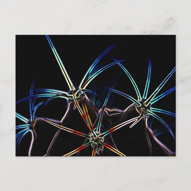 Postal Cactus 1 pcnm (Anverso)