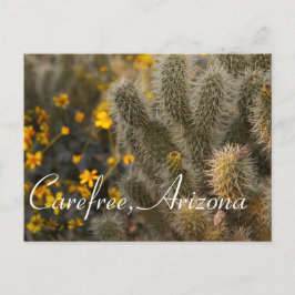 Postal Cactus and Wildflowers en Carefree, Arizona