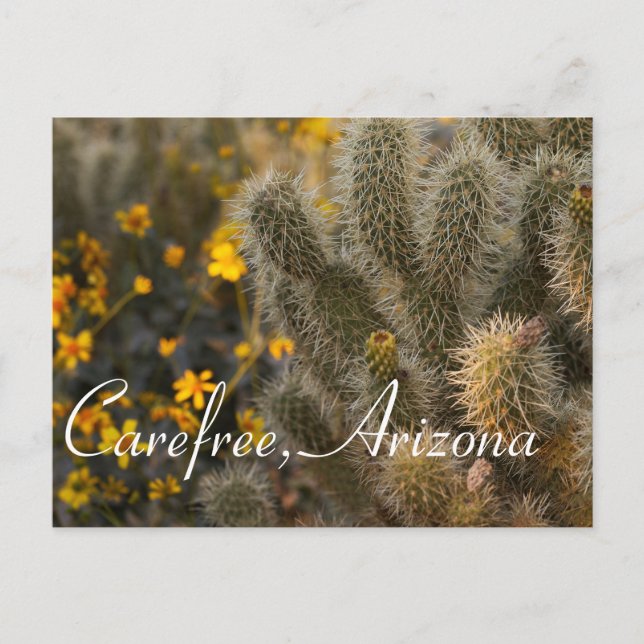 Postal Cactus and Wildflowers en Carefree, Arizona (Anverso)
