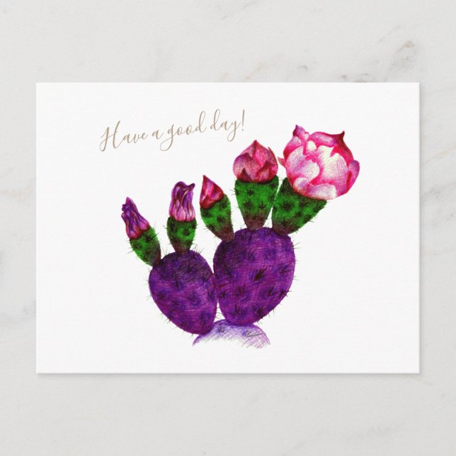 Postal Cactus brillante con pluma de flores Dibujo botáni (Anverso)