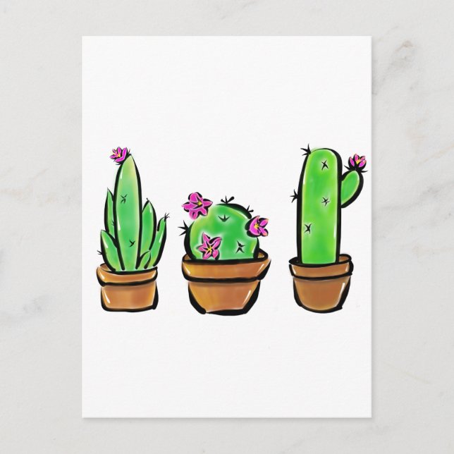 Postal Cactus cactus succulantes (Anverso)