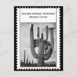 Postal Cactus de Arizona