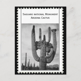 Postal Cactus de Arizona