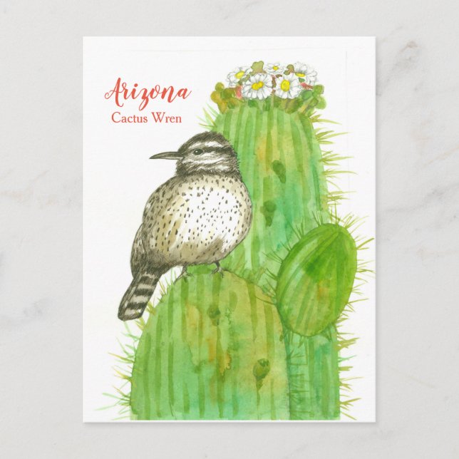Postal Cactus de pájaro del estado de Arizona Wren Flores (Anverso)