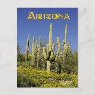 Postal Cactus de Saguaro y flores silvestres amarillas, A