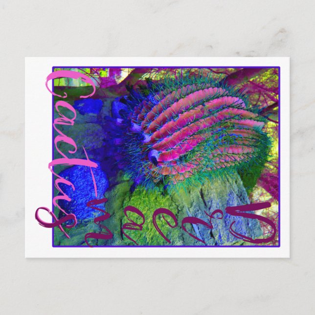 Postal Cactus Dreams neon cactus Southwest postcard (Anverso)