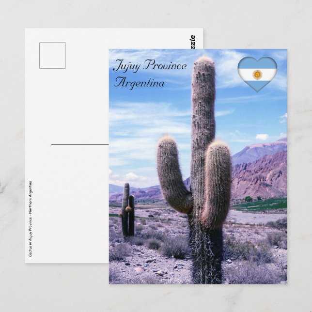 Postal Cactus en la provincia de Jujuy - norte de Argenti (Anverso / Reverso)
