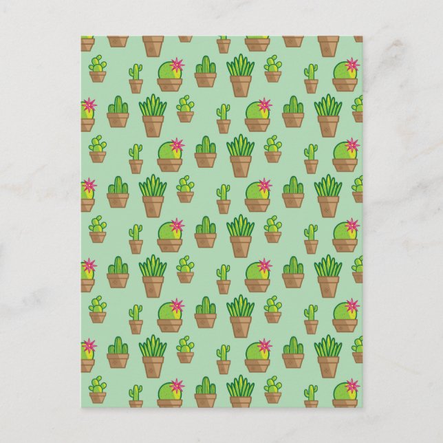 Postal Cactus enrrollado (Anverso)