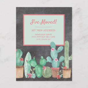 Postal Cactus Floral Pizarra Cambio de Dirección