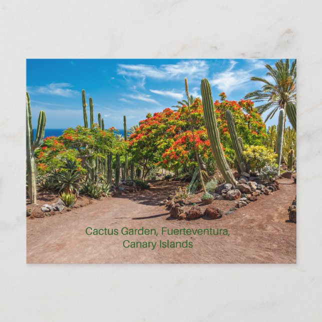 Postal Cactus Garen, Fuerteventura, Islas Canarias, (Anverso)