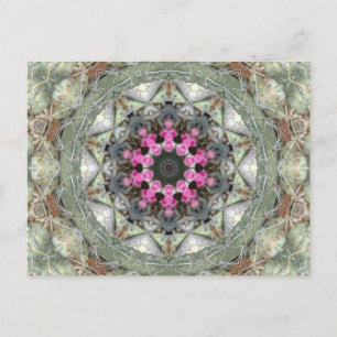 Postal Cactus Kaleidoscope