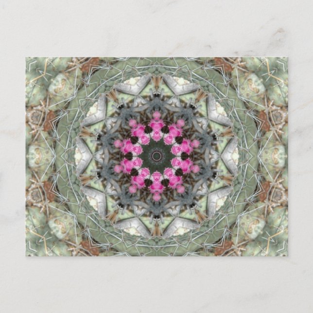 Postal Cactus Kaleidoscope (Anverso)