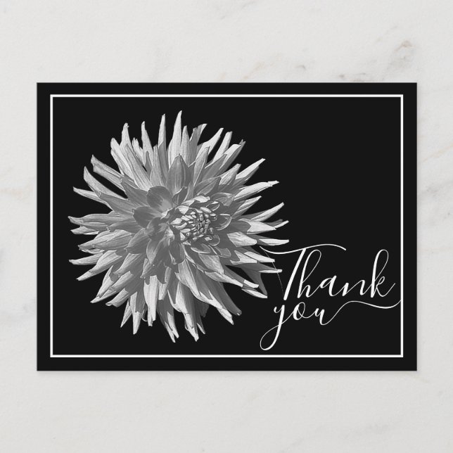 Postal Cactus negro/blanco Dahlia fondo negro gracias (Anverso)