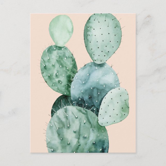Postal Cactus on Coral (Anverso)