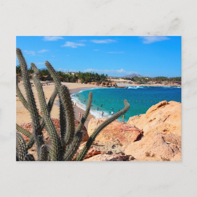 Postal Cactus On Rocky Hilltop Over Sandy Beach (Anverso)