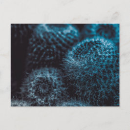 Postal Cactus oscuro