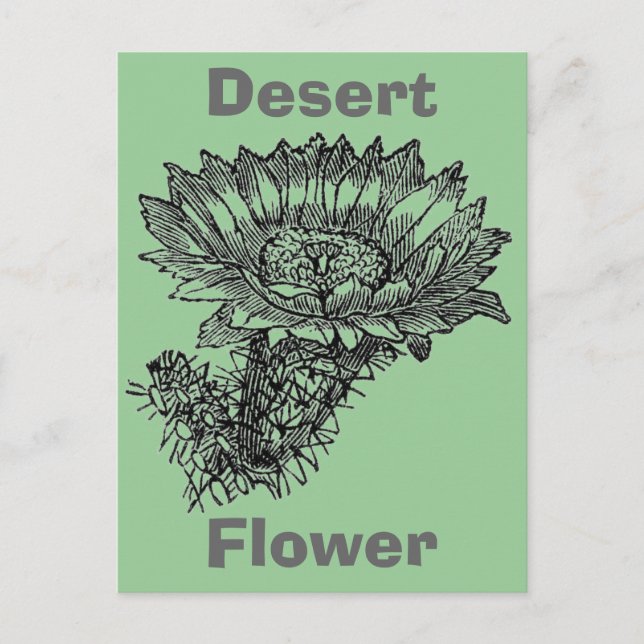 Postal Cactus Postcard (Anverso)
