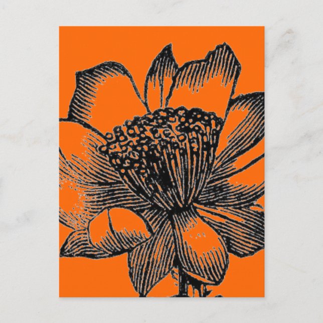 Postal Cactus Postcard (Anverso)