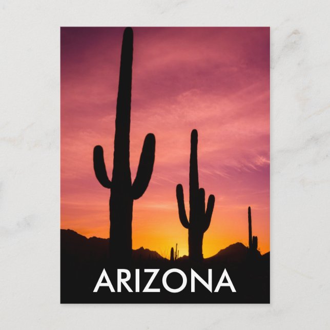 Postal Cactus saguaro al amanecer, Arizona (Anverso)