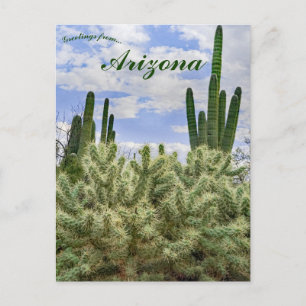 Postal Cactus Saguaro en Tucson Arizona