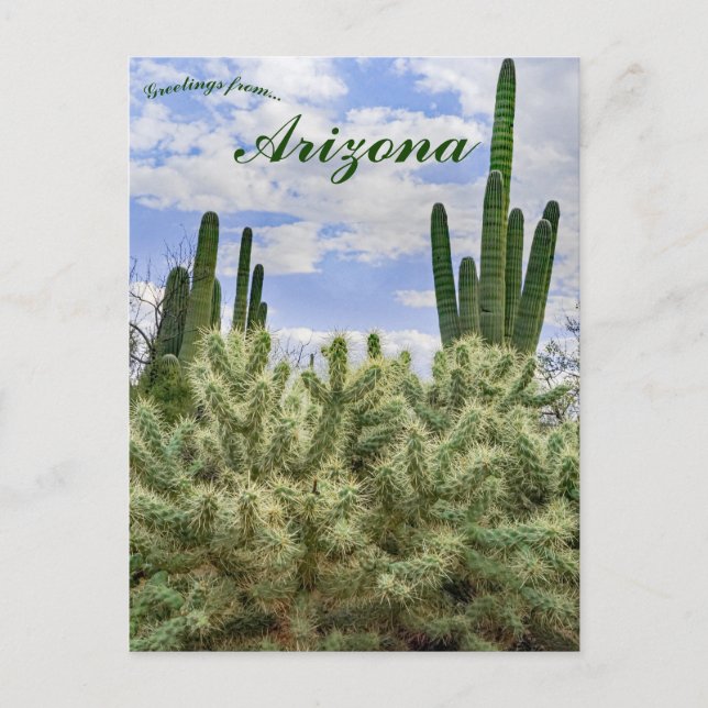 Postal Cactus Saguaro en Tucson Arizona (Anverso)