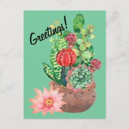 Postal Cactus, Succulents, Cactus Flower, Arreglo