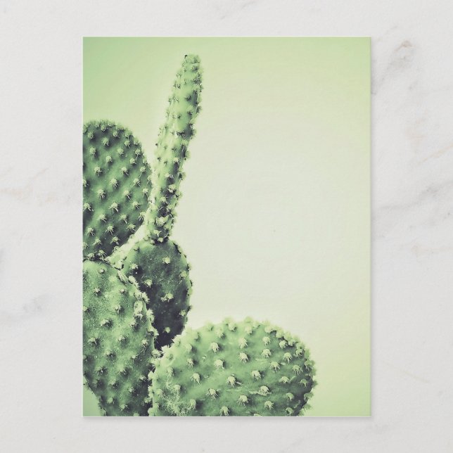 Postal Cactus verde (Anverso)