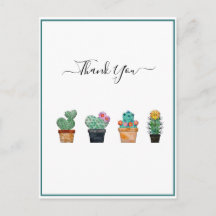 Cactus Verde Flor Adorable